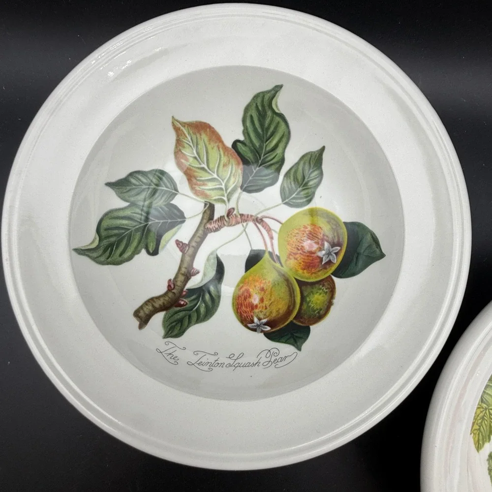 Vintage Portmeirion Pomona Rimmed Cereal Bowls Set 2 Fruit Botanical Cottagecore